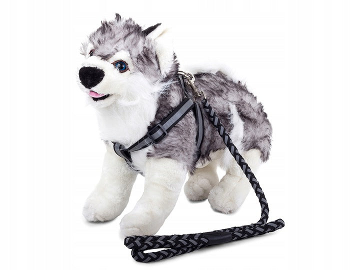 e07795f709084c5599d5640235c83e76 e07795f709084c5599d5640235c83e76